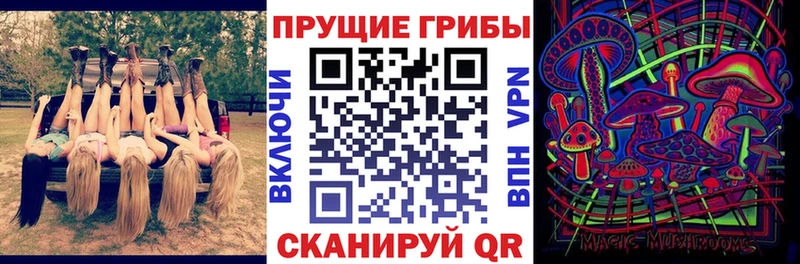 как найти закладки  Гатчина  Галлюциногенные грибы ЛСД 